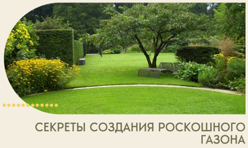 Секреты создания роскошного газона в Североуральске